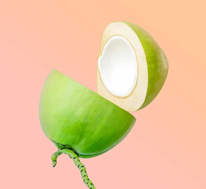 inner-eco coconut slice